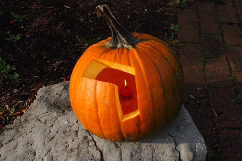 carmalink pumpkin